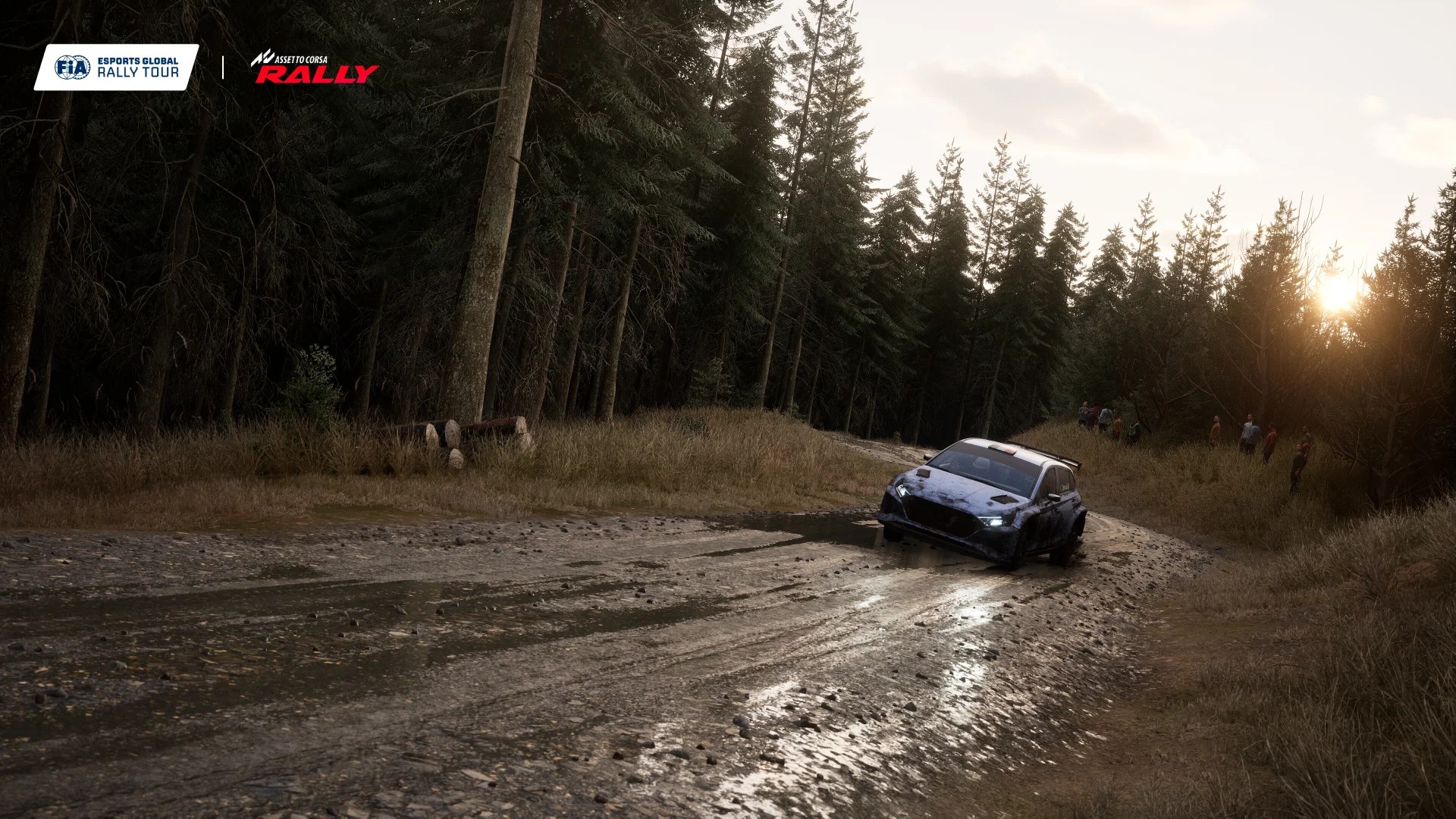 FIA Esports Global Rally Tour - format de compétition